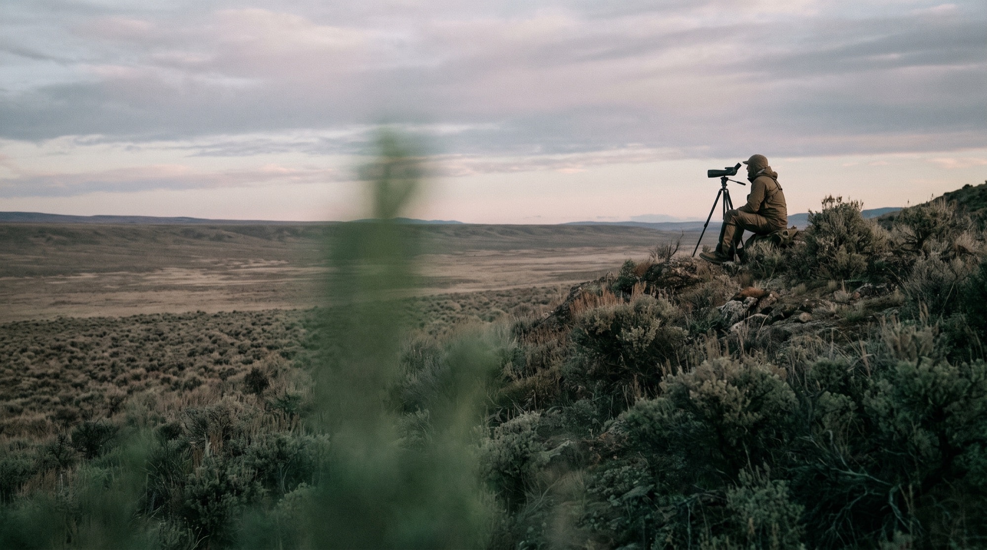 Lone hunter glassing a vast sagebrush basin through a spotting scope